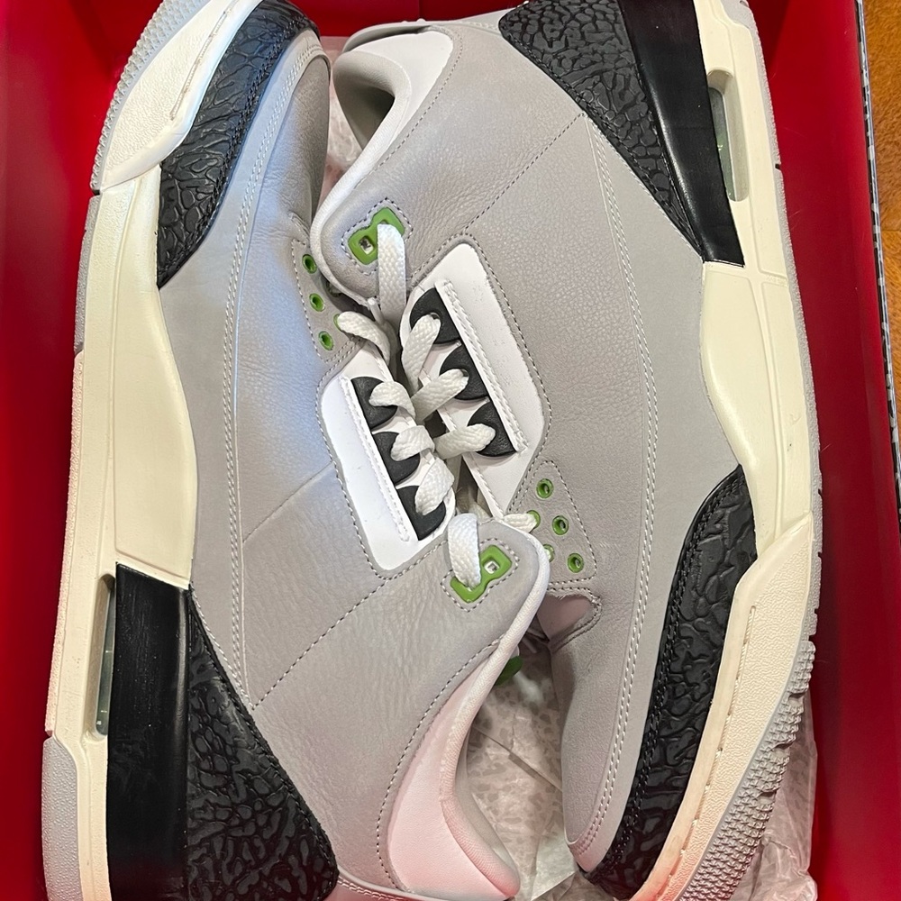 Jordan 3 Chlorophyll